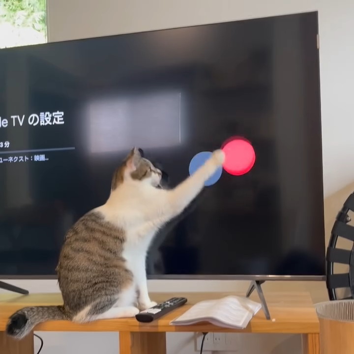 すばやく前足を伸ばして捉えようとするも……