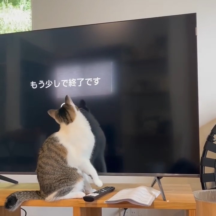 終わっちゃう……