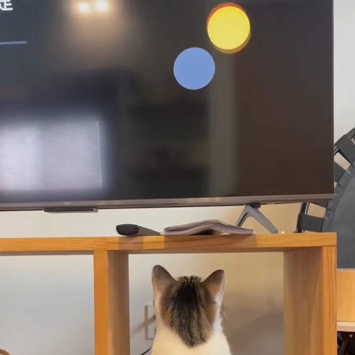 見上げているときも……