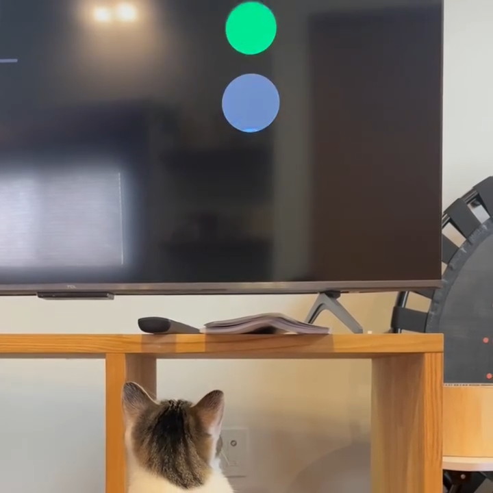 しばらく離れなさそうな雰囲気