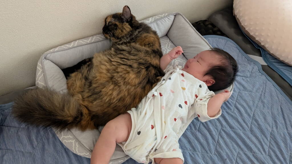 今はまだ大きさがあまり変わりませんね
