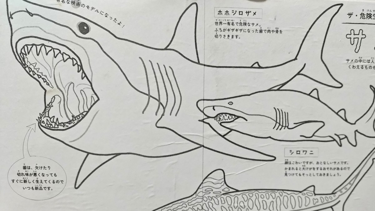「私の知ってる塗り絵と違う」　プロが“子どもの塗り絵”を本気で塗ってみたら……“衝撃の仕上がり”に「5度見くらいしたw」「す、凄い」（1/2） | カルチャー・アート ねとらぼ