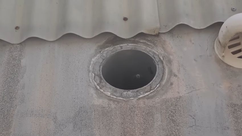 養蜂に取り組んでいるYouTuberの事務所にやって来たミツバチ