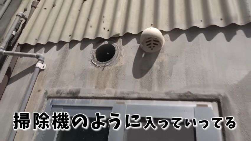 換気口からどんどん入っていく働きバチ