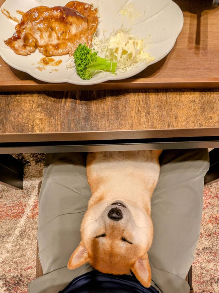 しあわせそうな寝顔。いい夢でも見てるのかな