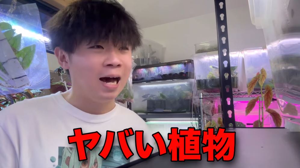 園芸マニアが購入した“ヤバい植物”とは……？