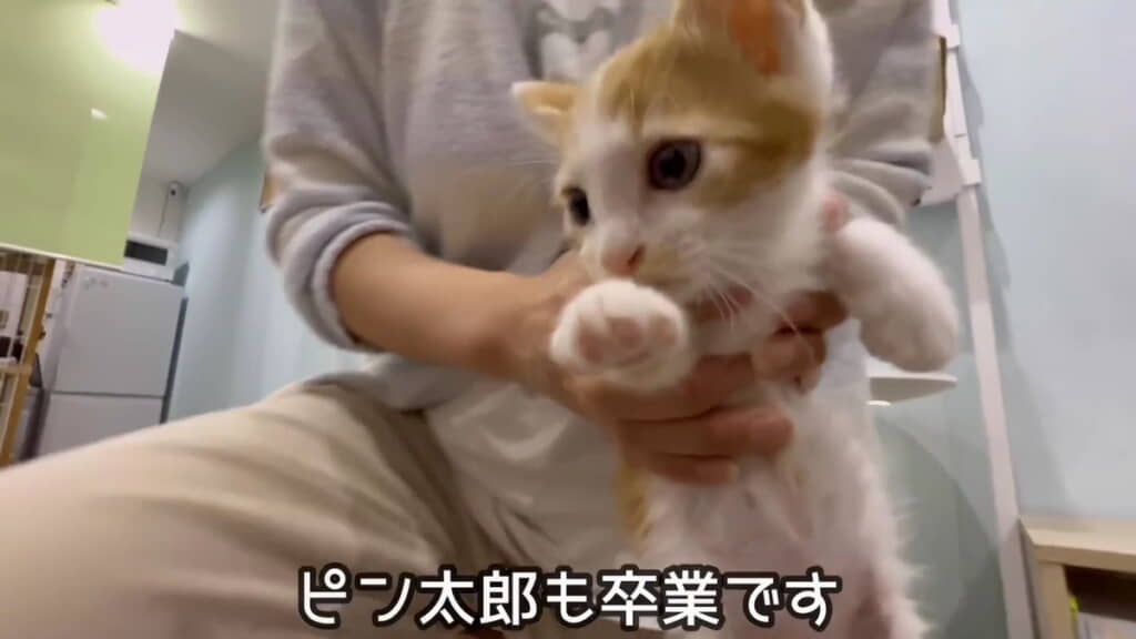 続々と卒業が決まっています