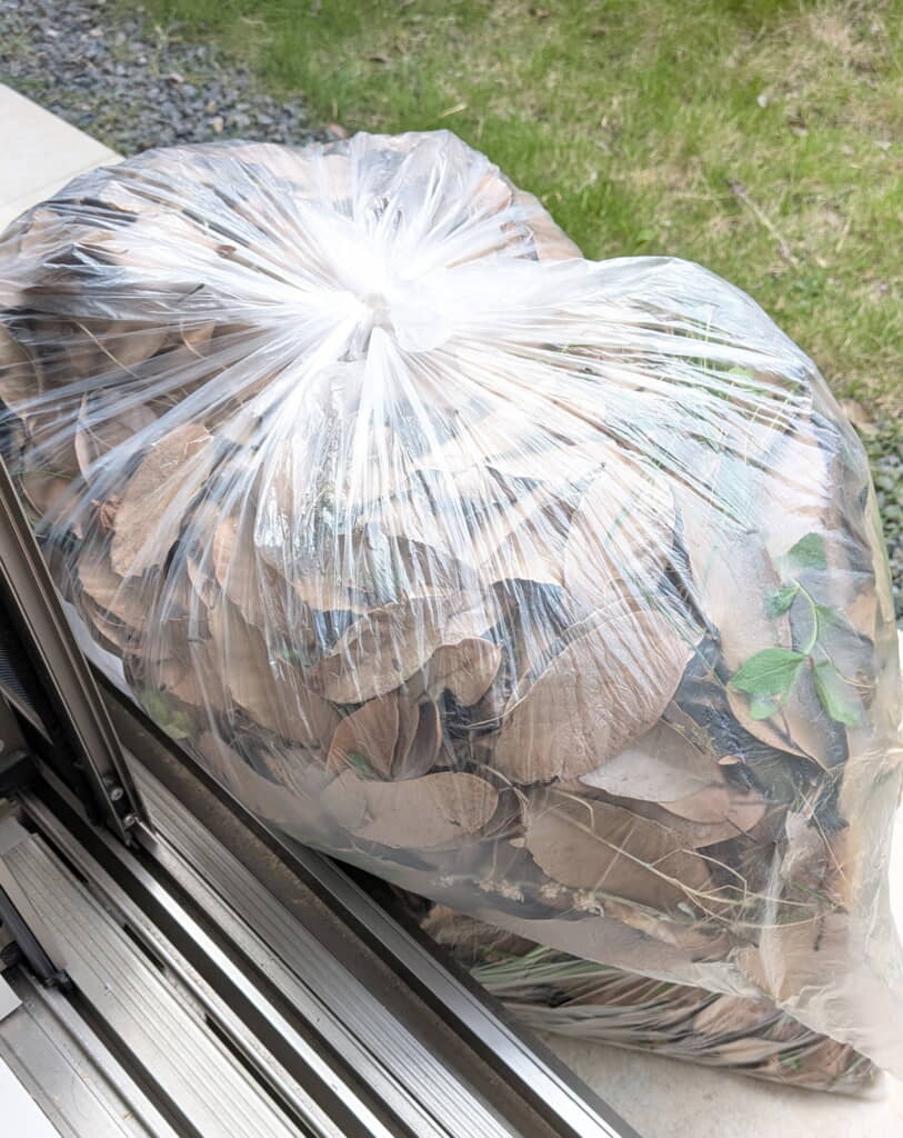 枯れ葉と雑草でいっぱいです！