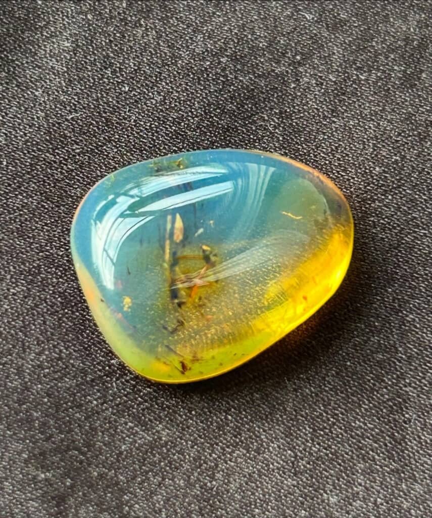 紫外線を当てる青く発光するんだ!?