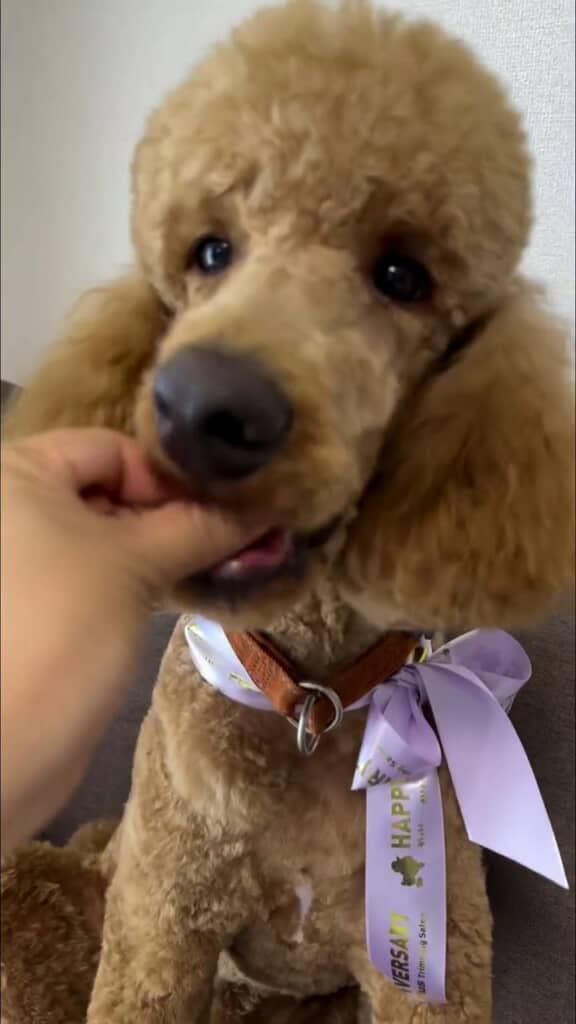 おやつを食べたら……