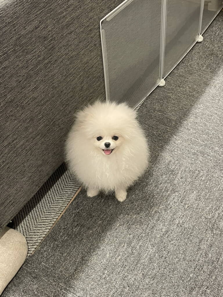 ちょい足も最高
