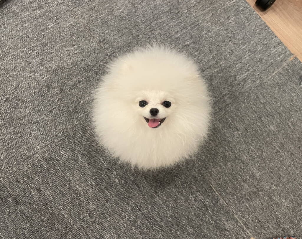 ほほ笑みがたまらない
