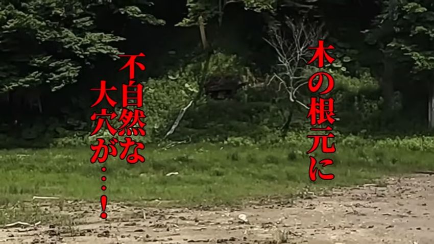 兄弟が発見したヒグマの巣らしき不自然な穴