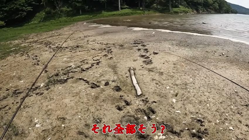 岸辺に残っている大量のヒグマの足跡