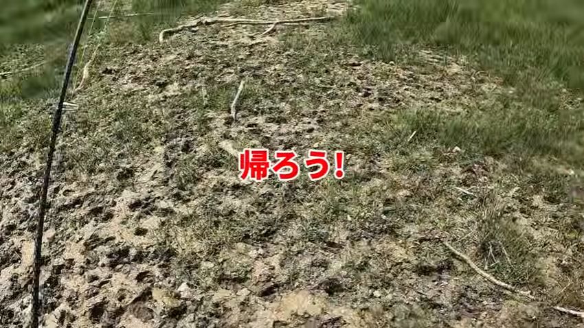 この場を離れることを決めた兄弟