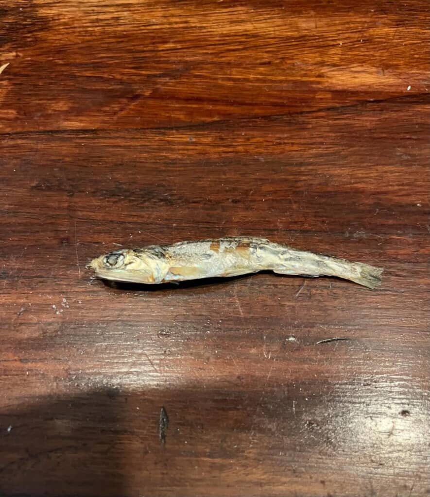 煮干しの器用すぎる食べ方