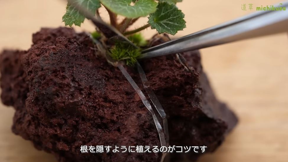 モビロンバンドで固定