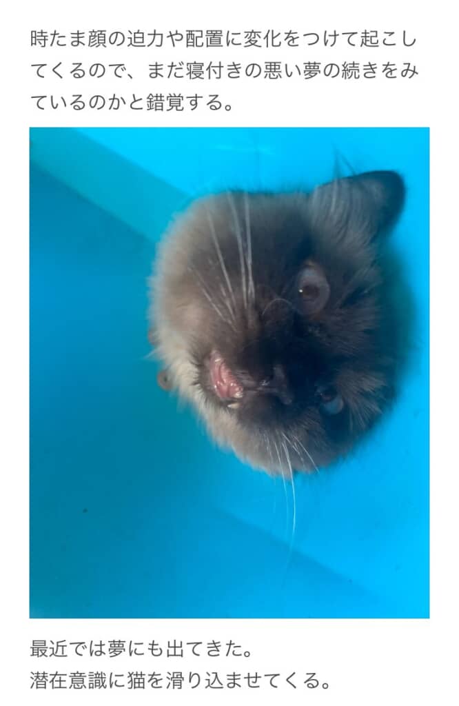 迫力満点の表情を見せる日も