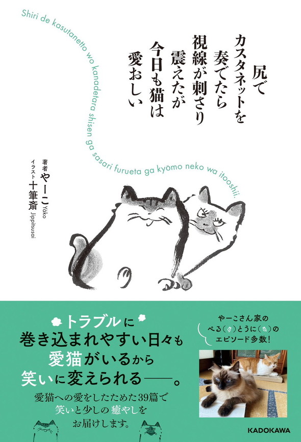 『尻でカスタネットを奏でたら視線が刺さり震えたが今日も猫は愛おしい』書影