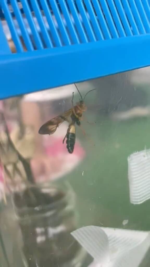 元気に動いている