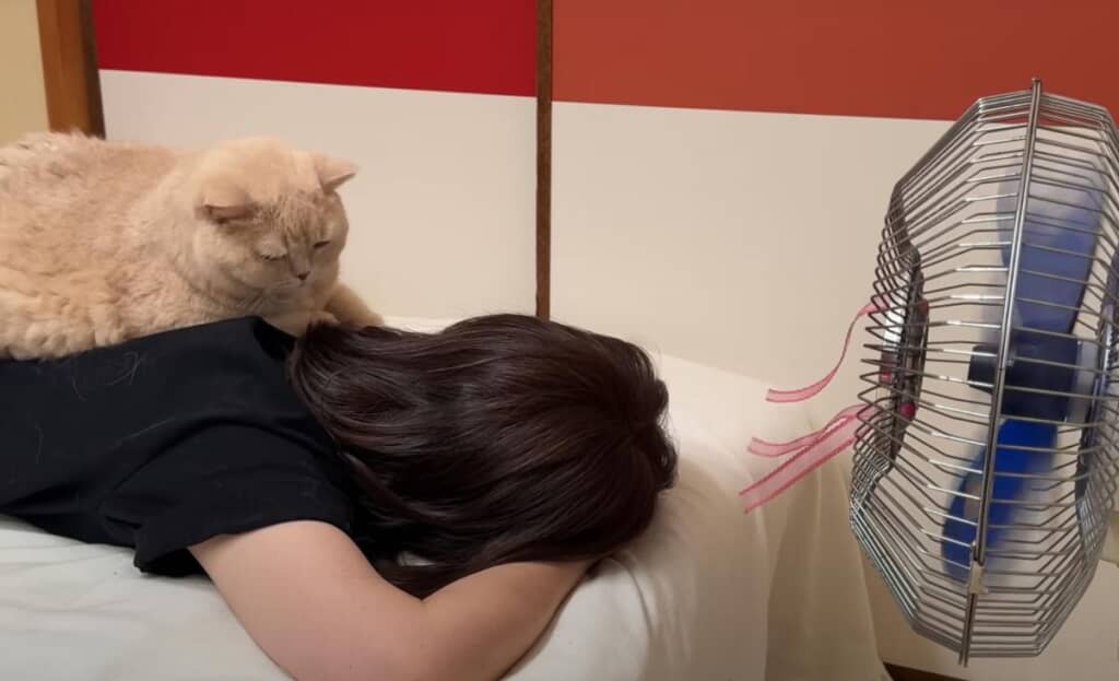 お母さんに乗るみかんちゃん