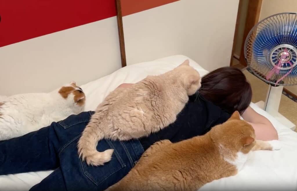 あんみつちゃんととんかつくんも集まってきました