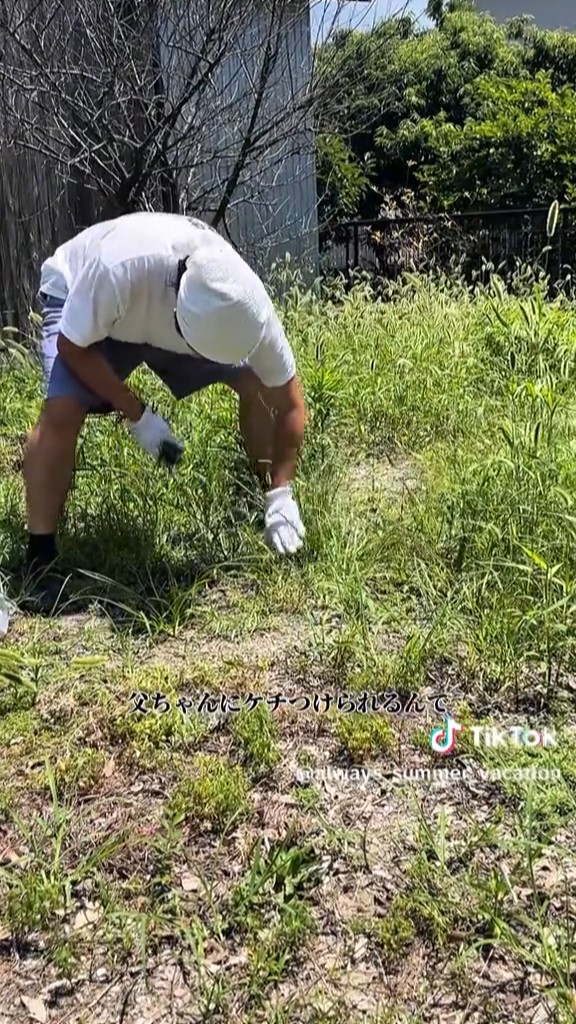 まずは雑草を抜く