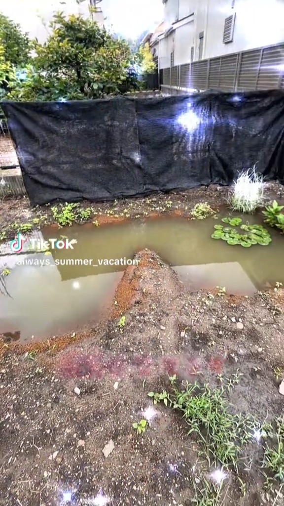 雨が降ったけれど無事でした