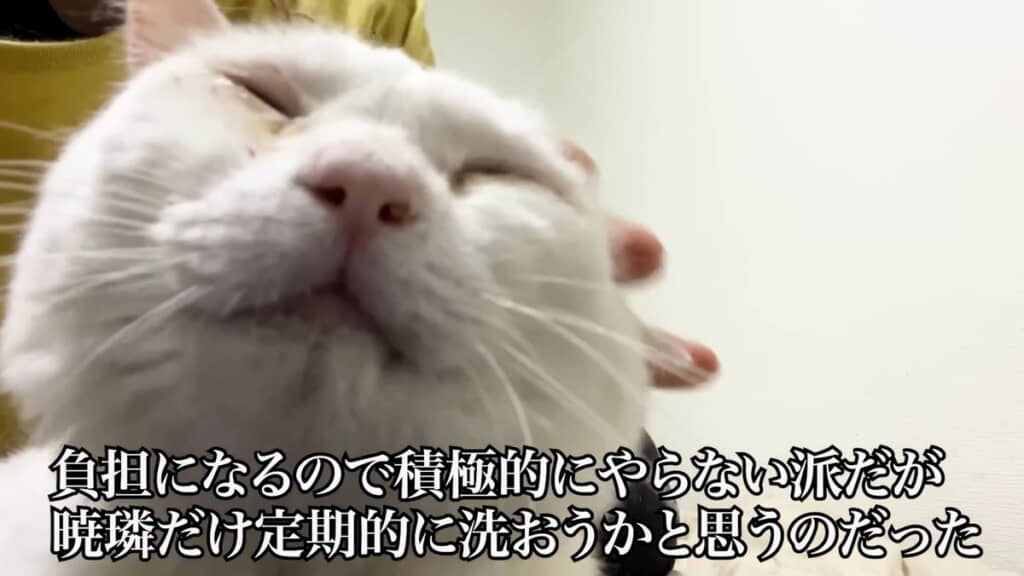 気持ち良さそう