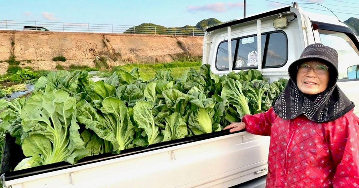 軽トラにぎっしり積まれた“デッカい葉”→81歳おばあちゃんの手で……　驚きの結末に「懐かしい」「見習わなければ」（1/3） | グルメ ねとらぼ