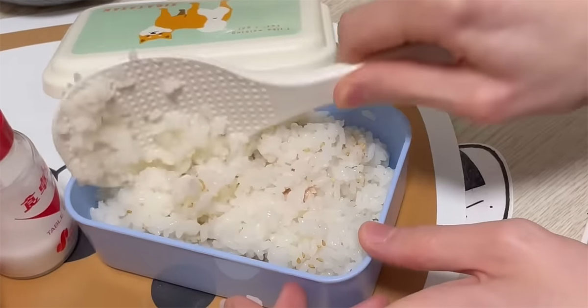 介護士の31歳男性が早番前に作る“男飯弁当”→早朝とは思えぬ完成度に「ほんま偉いなー！」「尊敬します」（1/3） | グルメ ねとらぼ