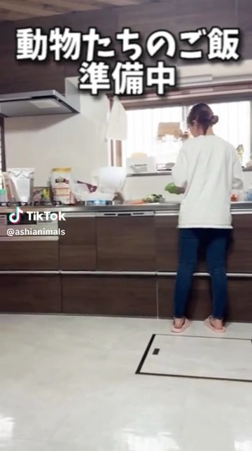 朝食を作るあいるんさん