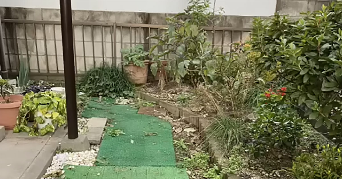 築40年の中古物件の“昭和な庭”→1年半かけてDIYしたら……　まるで別世界の光景に「とてもすてき」「ため息出ちゃいました」（1/3） | リフォーム・リノベーション・DIY ねとらぼ