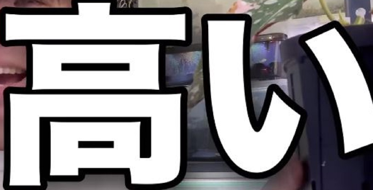 1株“ウン十万円”級の鬼レア観葉植物を、思い切って購入したら……　ヤバすぎる姿に「すごい」「欲しいけど…」（1/3） | ライフスタイル ねとらぼ