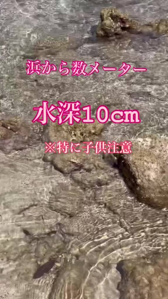 浜から数メートルのところに……