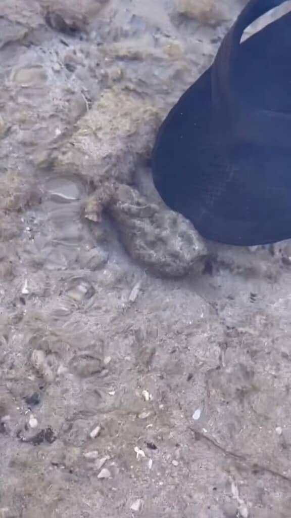 ゴツゴツした石……？