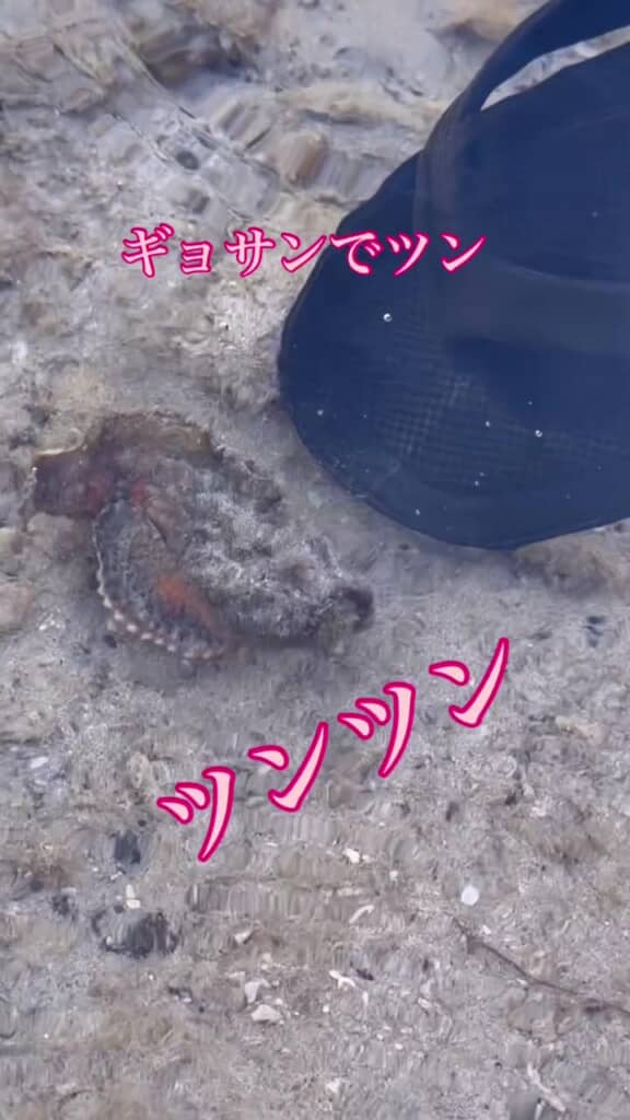 ツンツンしたら動いた！