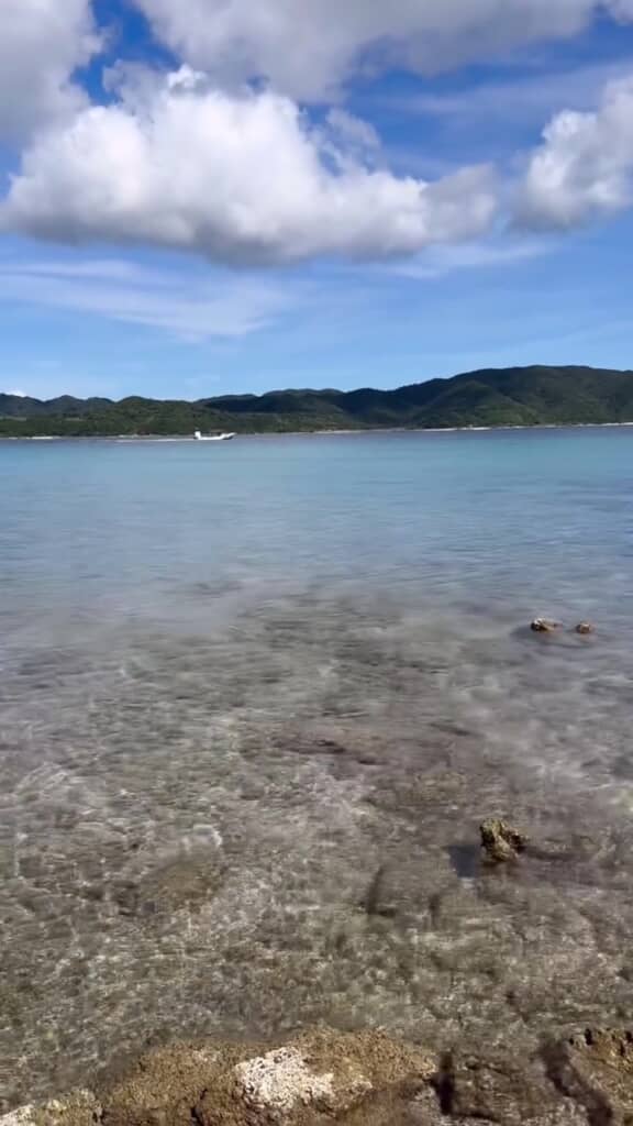 最後は海へリリース