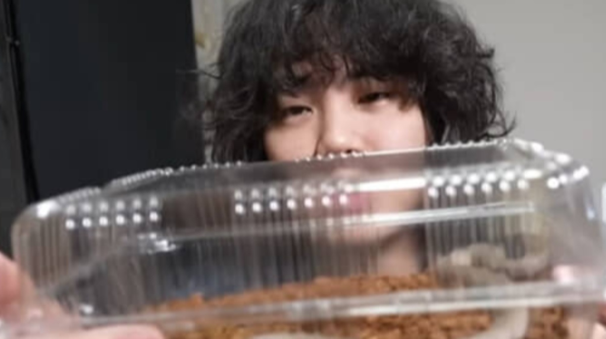 ヘビのような見た目の“不思議な生き物”をお迎えしたら……　驚きの正体に「初めて知りました」「顔がキュート」（1/3） | その他生き物 ねとらぼ