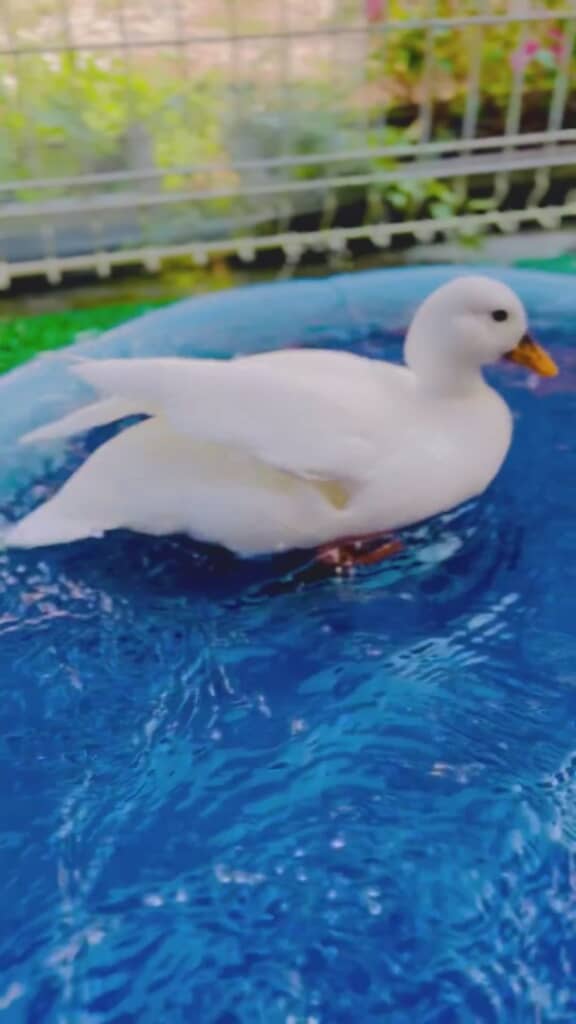 ようやく普通の体勢に戻れました！