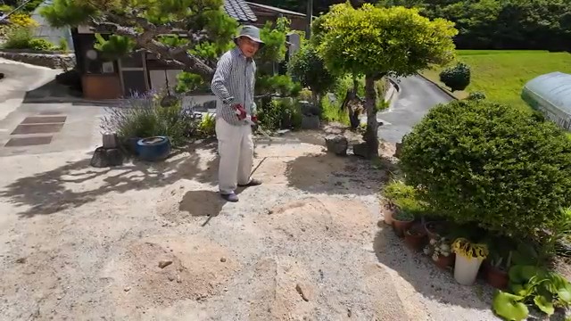 再び草刈りに精を出します