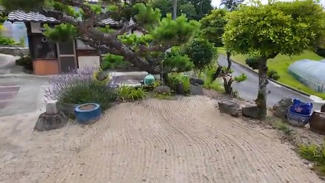 すっかりきれいになりました！