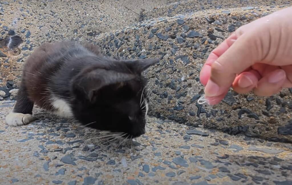 無事に針が抜けました！