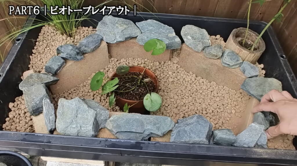 ビオトープをレイアウトする