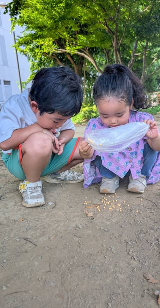 最初は仲良く土の上で遊んでいた2人