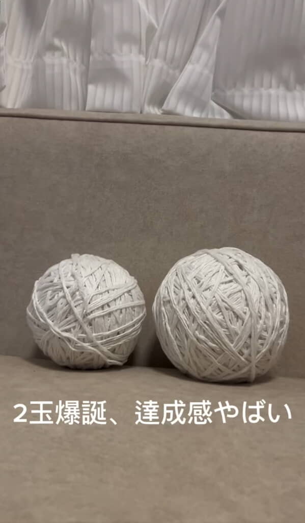 毛糸が2玉できた!!