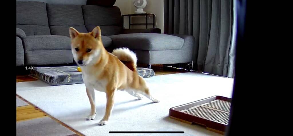 ストレッチ中?!