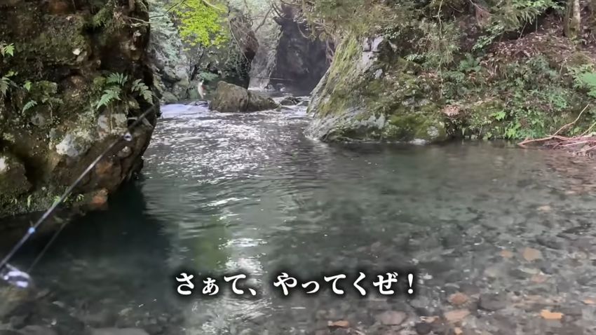 生体を捕まえるため川にやって来た投稿者