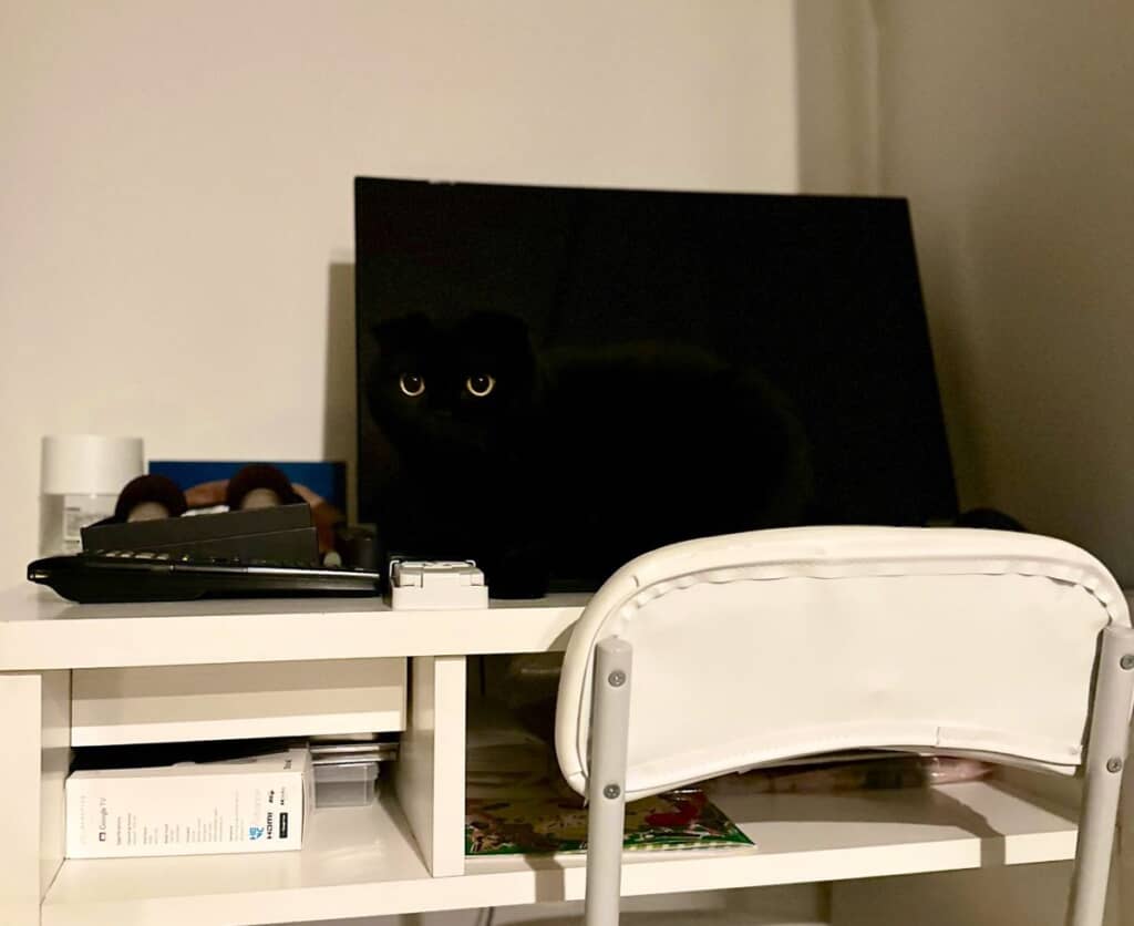 モニターと同化している……