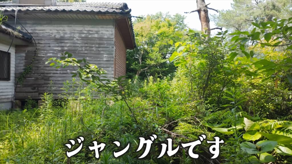 「こつぶちゃんねる」のこつぶが購入した築100年のレトロ古民家